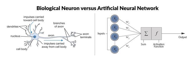 Artificial Neural Network