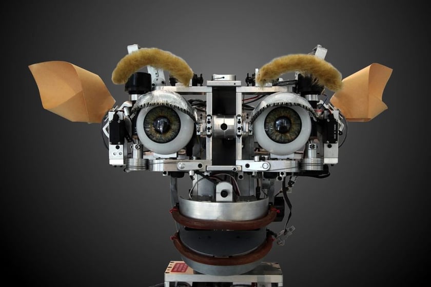 intelligenza artificiale cos'è kismet